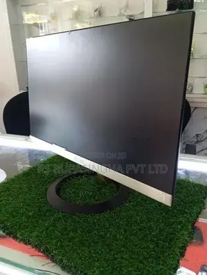 Asus 19 LED Monitor