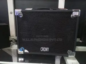 CRONY SPEAKER WITH AMP