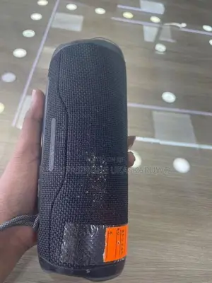 JBL Flip 6
