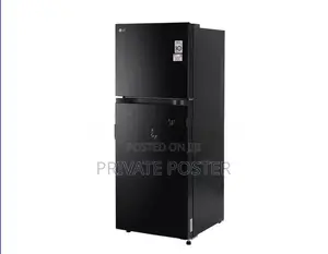 LG Inverter Refrigerator Double Door 238L