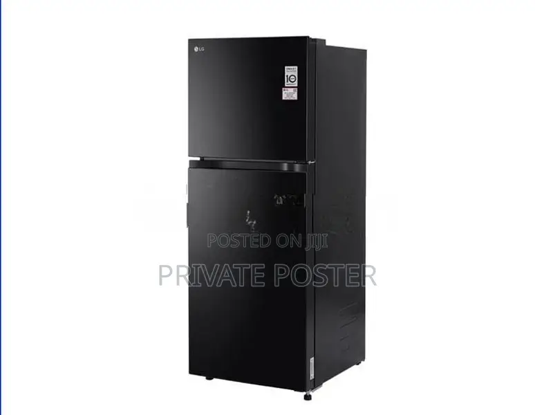 LG Inverter Refrigerator Double Door 238L