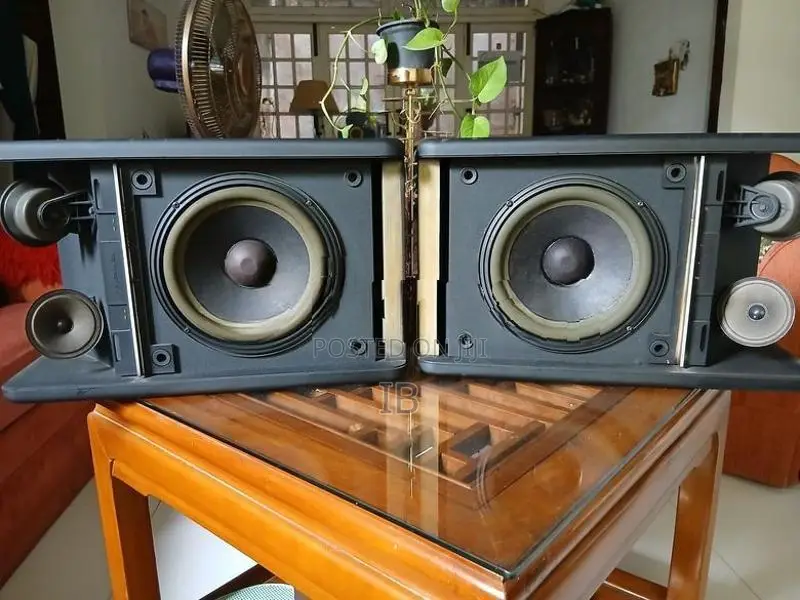 Bose 301 Specker Set