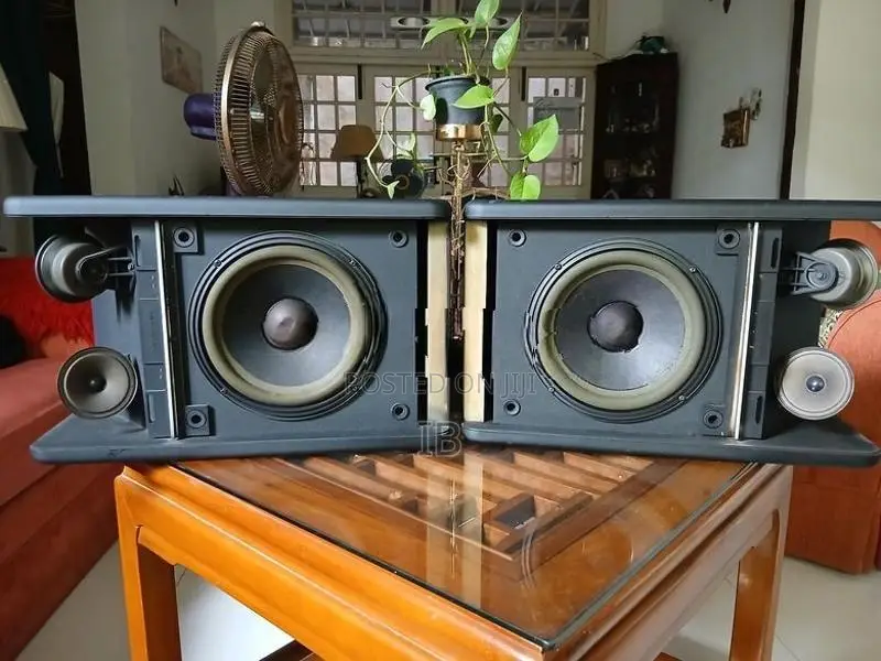 Bose 301 Specker Set