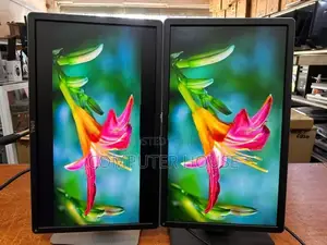 DELL 24’’ Wide Ips Monitor