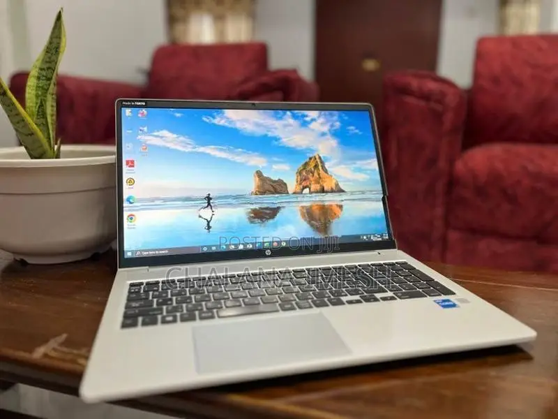 HP ProBook 450 G8