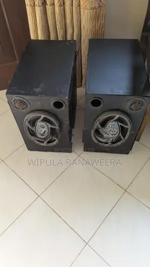 Pioneer Speaker S