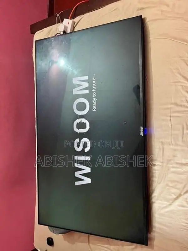 Wisdom 55 Smart 4K UHD TV