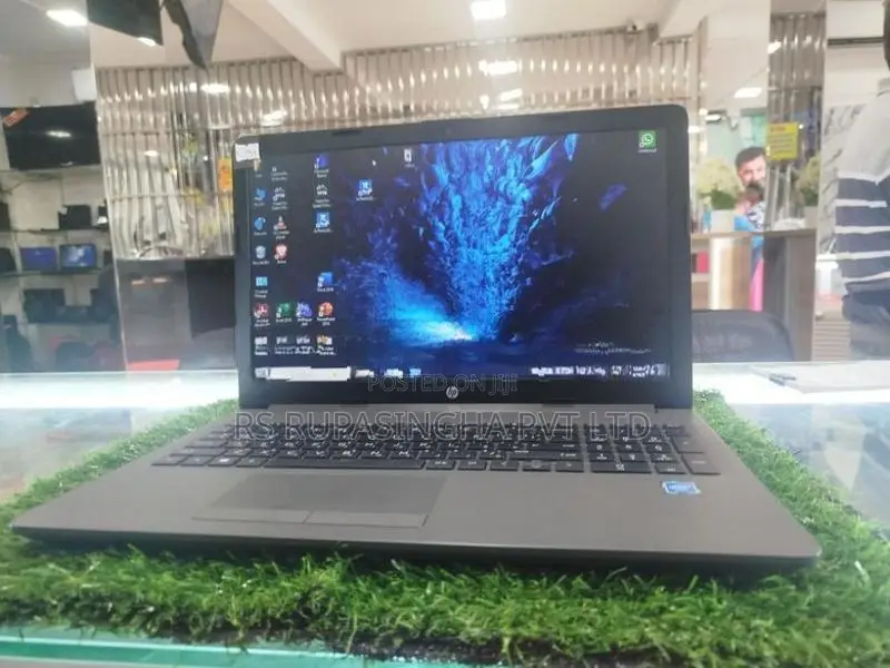 HP Celeron Laptop