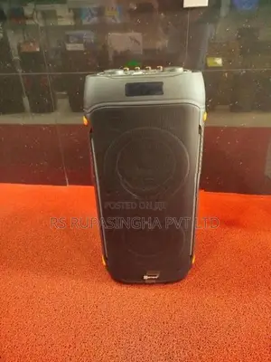 Mitshu Party Speaker