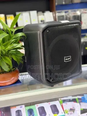 Brodu Bts-1739 Bluetooth Karaoke Speaker