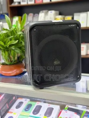 Brodu Bts-1739 Bluetooth Karaoke Speaker AA