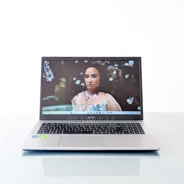 Acer Aspire A315-59G Core i5-11th Gen 8GB RAM MX350 / 2GB VGA Laptop