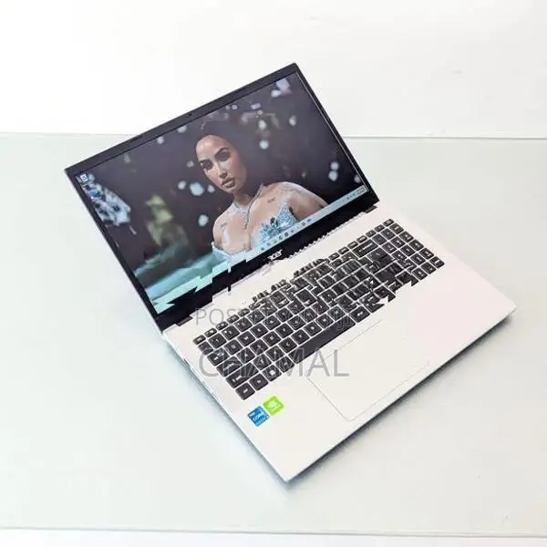 Acer Aspire A315-59G Core i5-11th Gen 8GB RAM MX350 / 2GB VGA Laptop