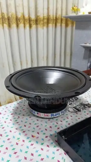 අඟල් 12 Subwoofer