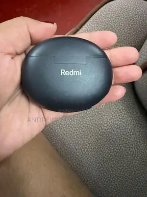Ear Buds