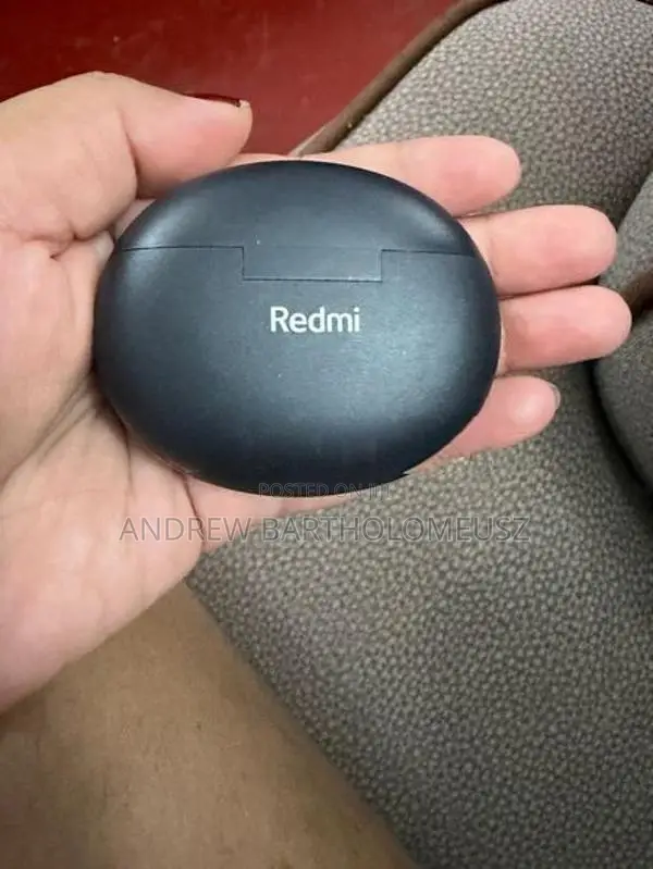 Ear Buds