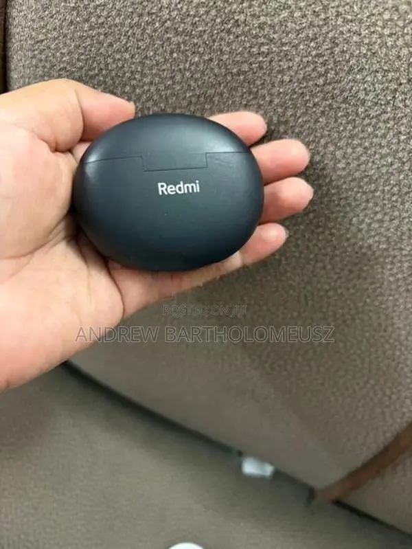 Ear Buds