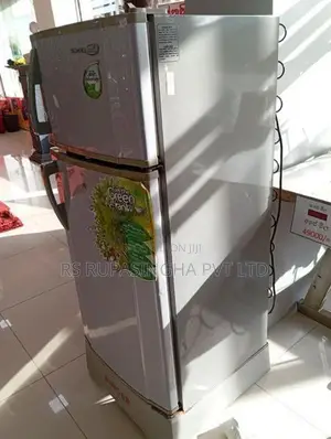Singer D/door Fridge