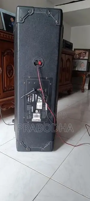 Avvox Active PA Karaoke Speaker