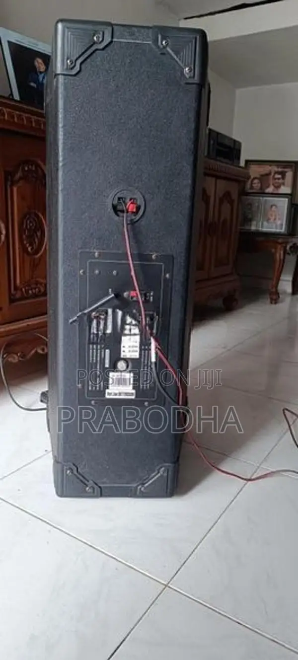 Avvox Active PA Karaoke Speaker
