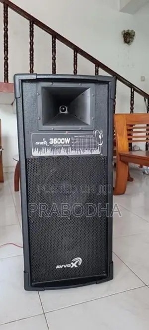 Avvox Active PA Karaoke Speaker