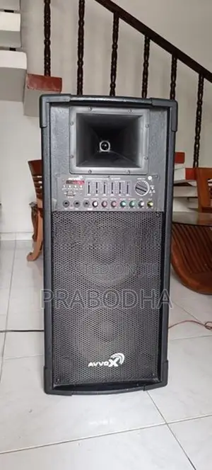 Avvox Active PA Karaoke Speaker