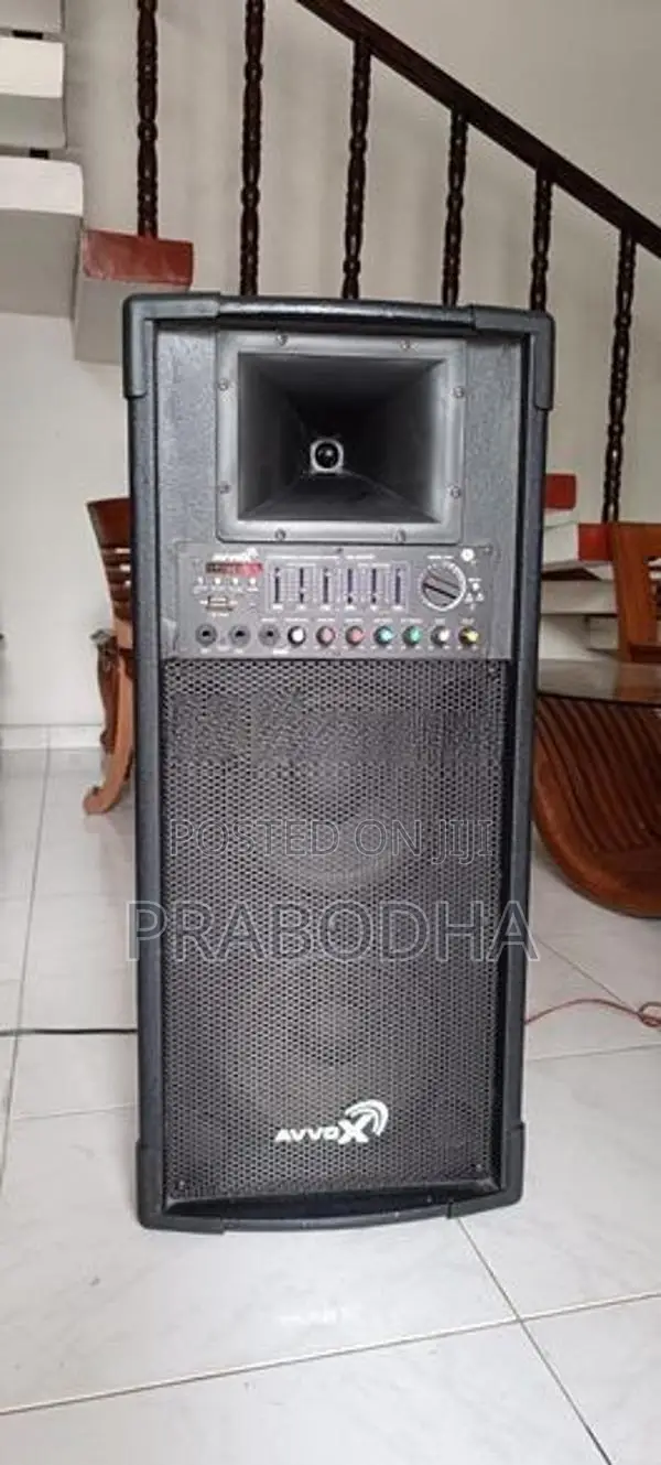 Avvox Active PA Karaoke Speaker