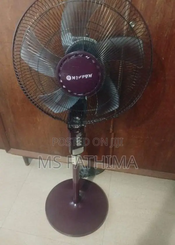 Stand Fan