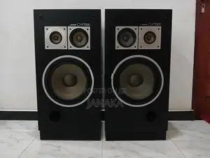 Pioneer Speakers