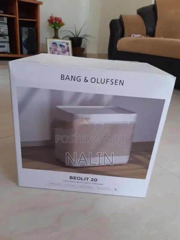 bang&Olufsen