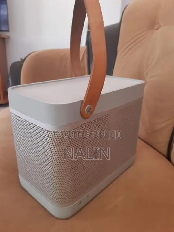 bang&Olufsen