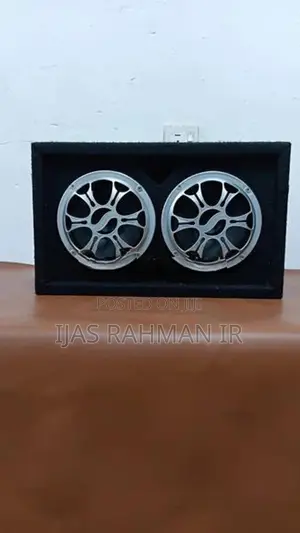 6 Inch Two Way Buffalo Speaker