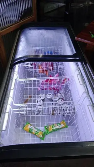 Display Freezer