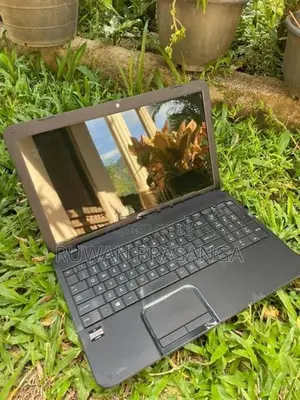 AMD E1