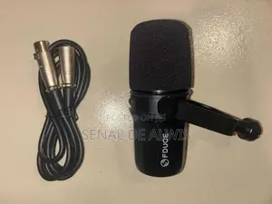 USB C Microphone Mic FDUCE SL40