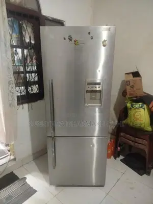 Fisher With Paykel Refrigerator (Bottom Freezer)