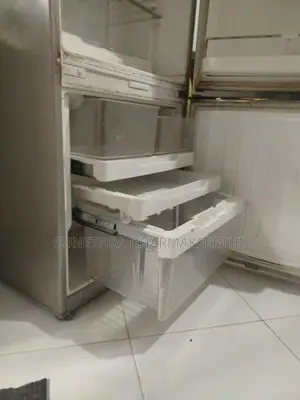 Fisher With Paykel Refrigerator (Bottom Freezer)