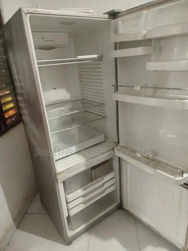 Fisher With Paykel Refrigerator (Bottom Freezer)