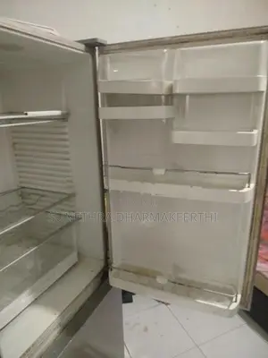 Fisher With Paykel Refrigerator (Bottom Freezer)