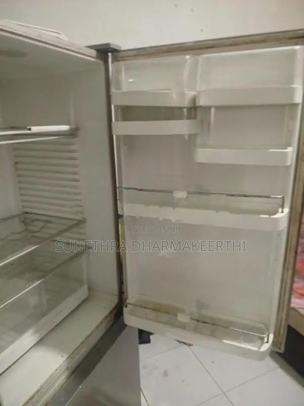 Fisher With Paykel Refrigerator (Bottom Freezer)