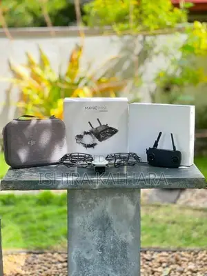 DJI Mvic Mini Drone