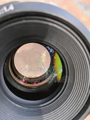 Canon 5d Mark Iii With 24 105 Lens