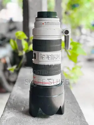 Canon 80D