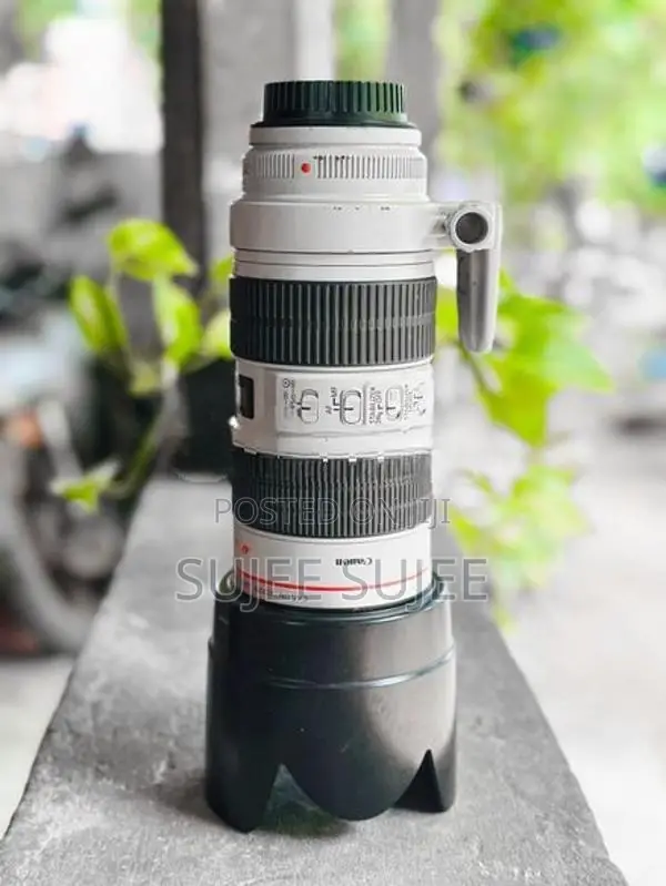 Canon 80D