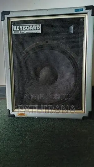 Roland Back Amp
