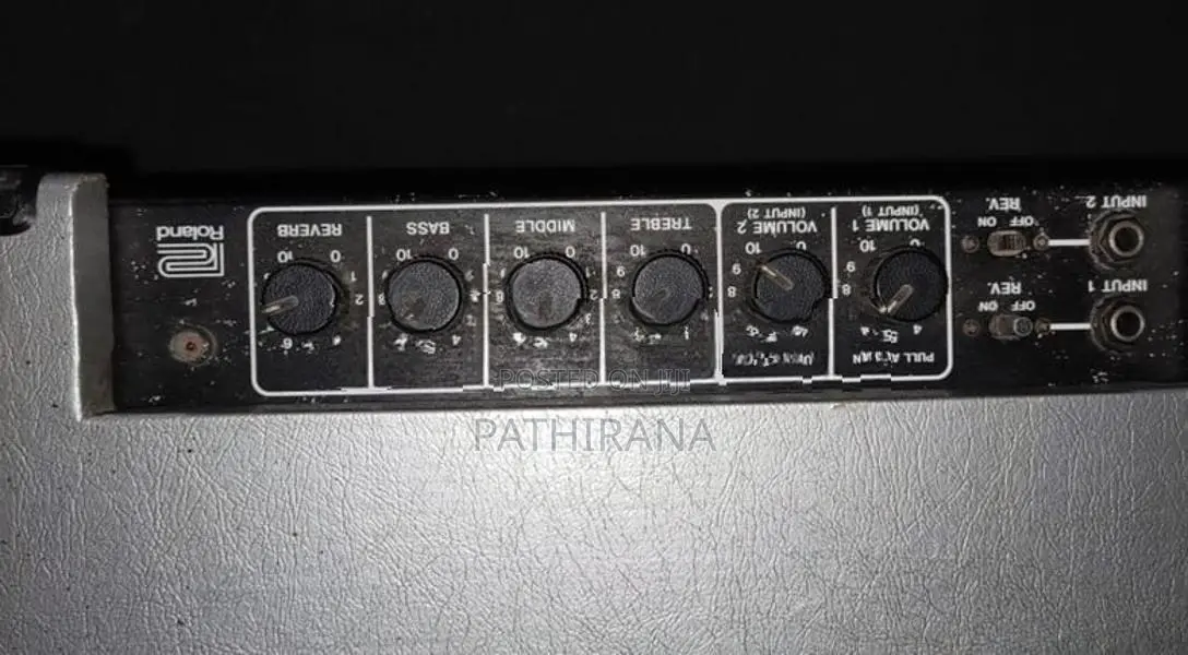 Roland Back Amp