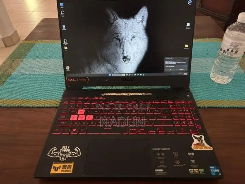 Asus TUF F15