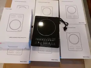 Induction Cooker 2200W