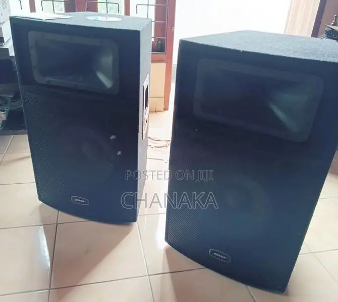 Bose Baffles with Amp