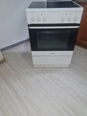 Electric Oven With Cooker